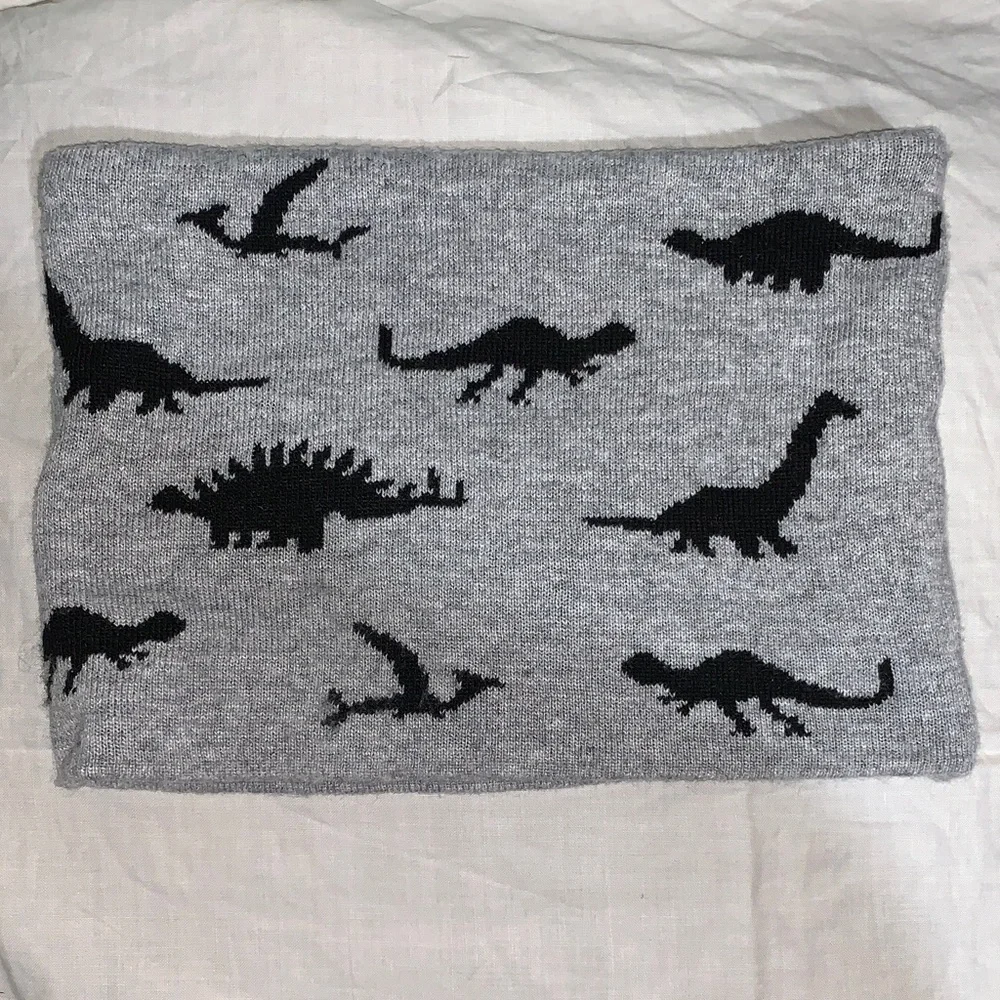 Target Gray Kids Dinosaur Neck cover